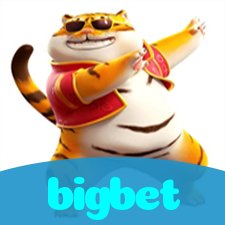 bigbet visual